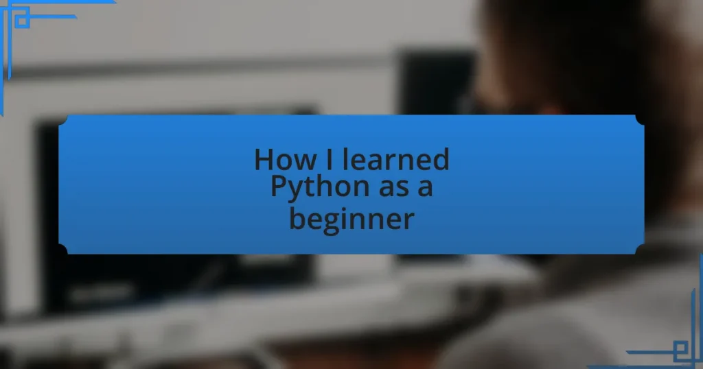 How I learned Python as a beginner