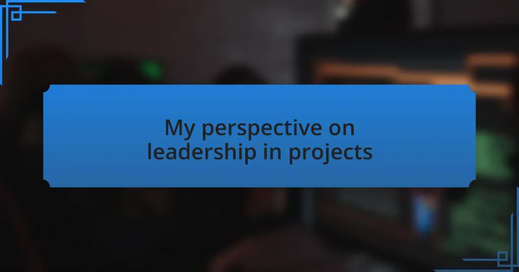 My perspective on leadership in projects