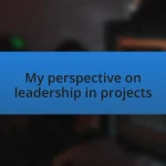 My perspective on leadership in projects